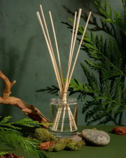 Hot Brooklyn Candle Studio Reed Diffuser | Catskills Handmade Beauty | Wellness